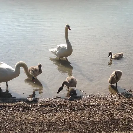 Gasthof Zur Post Mini-hôtel *