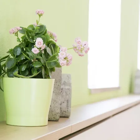 Gasthof Zur Post Hof bei Salzburg